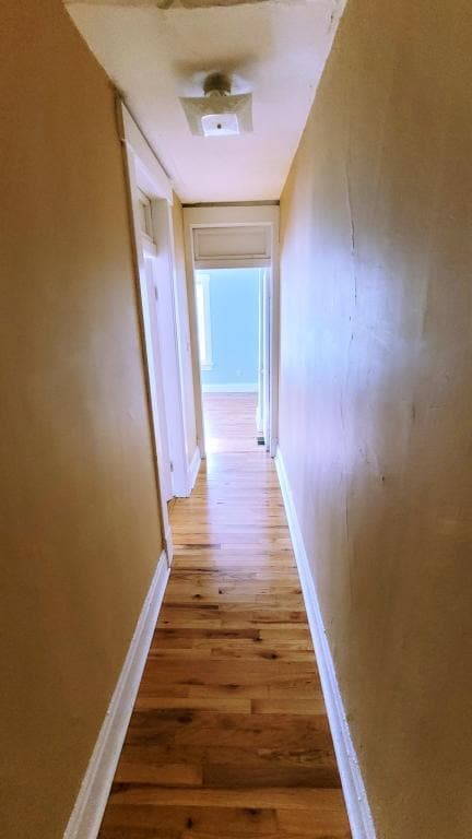 Building Photo - 54 W Dodridge St