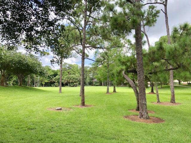 Large green space for soccer, etc. - 2662 NW 42nd St