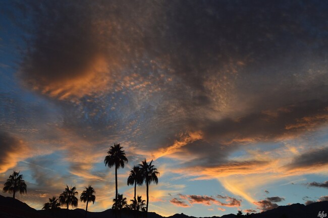 Building Photo - Mesquite Country Club, Ground Floor , Furnished, SEASONAL!