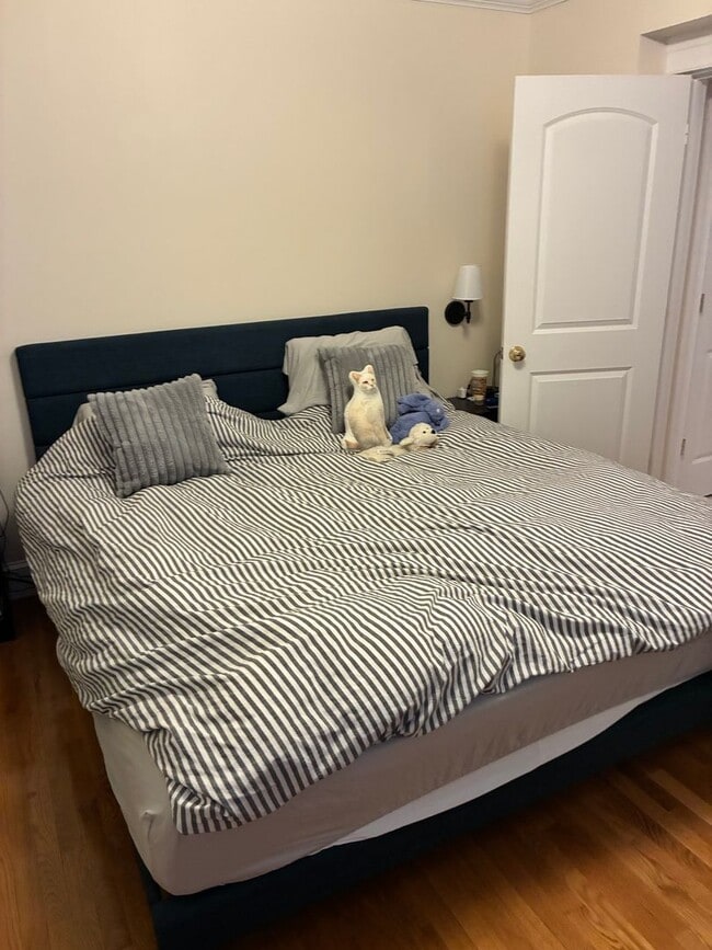 Building Photo - Great Deal on Allston 1bed / 1bath available 2/1/2026