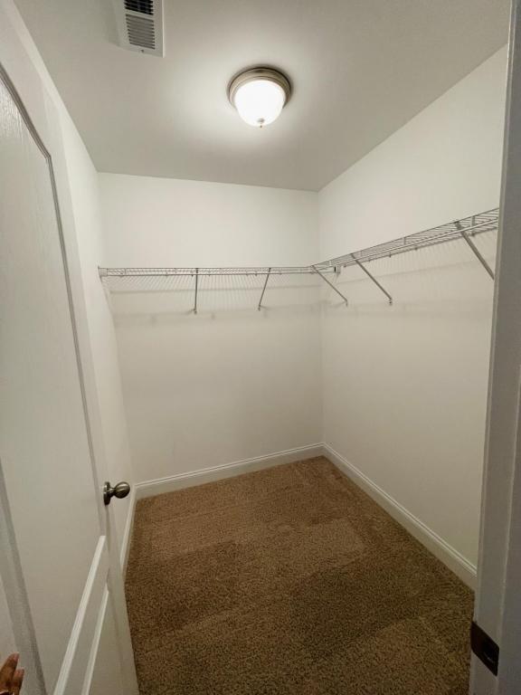 Building Photo - 3142 Hunting Lodge Rd