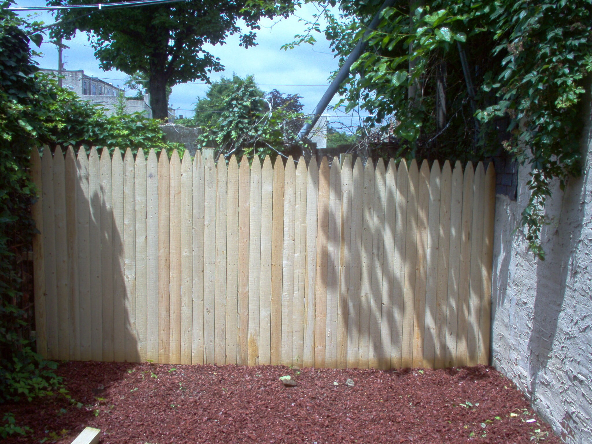 Backyard - 1806 N Gratz St