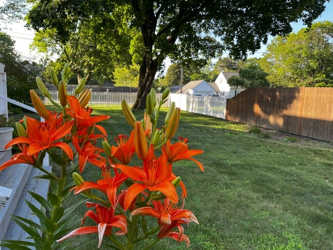 Building Photo - 35 Hastings Ave