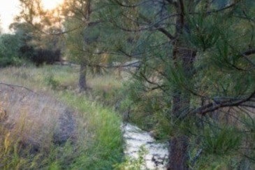 Miller Ck. in the back yard - 9491 Miller Creek Rd