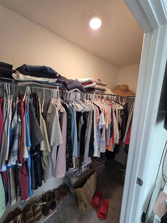 Building Photo - 2910 Hudson Hammock Wy