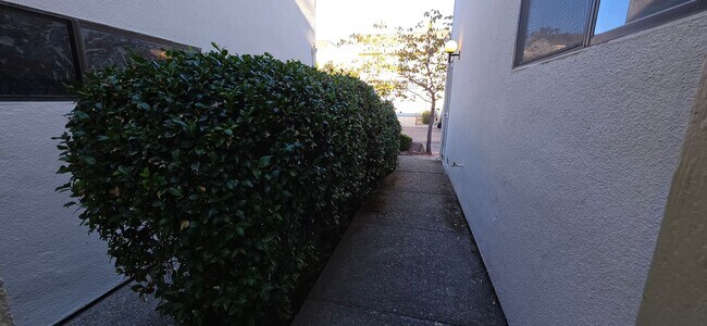 Building Photo - 1745 Deer Creek Ct