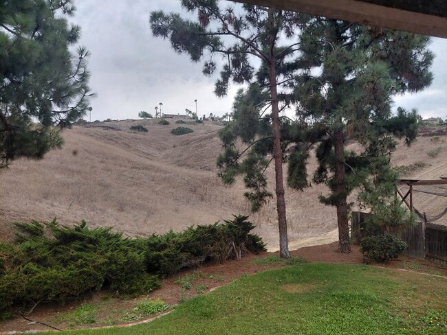 Building Photo - 5612 Galloping Way