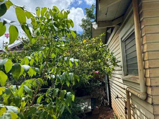Building Photo - Charming detached single family Kaimuki 3 bdrm, 1 bath home on level lot
