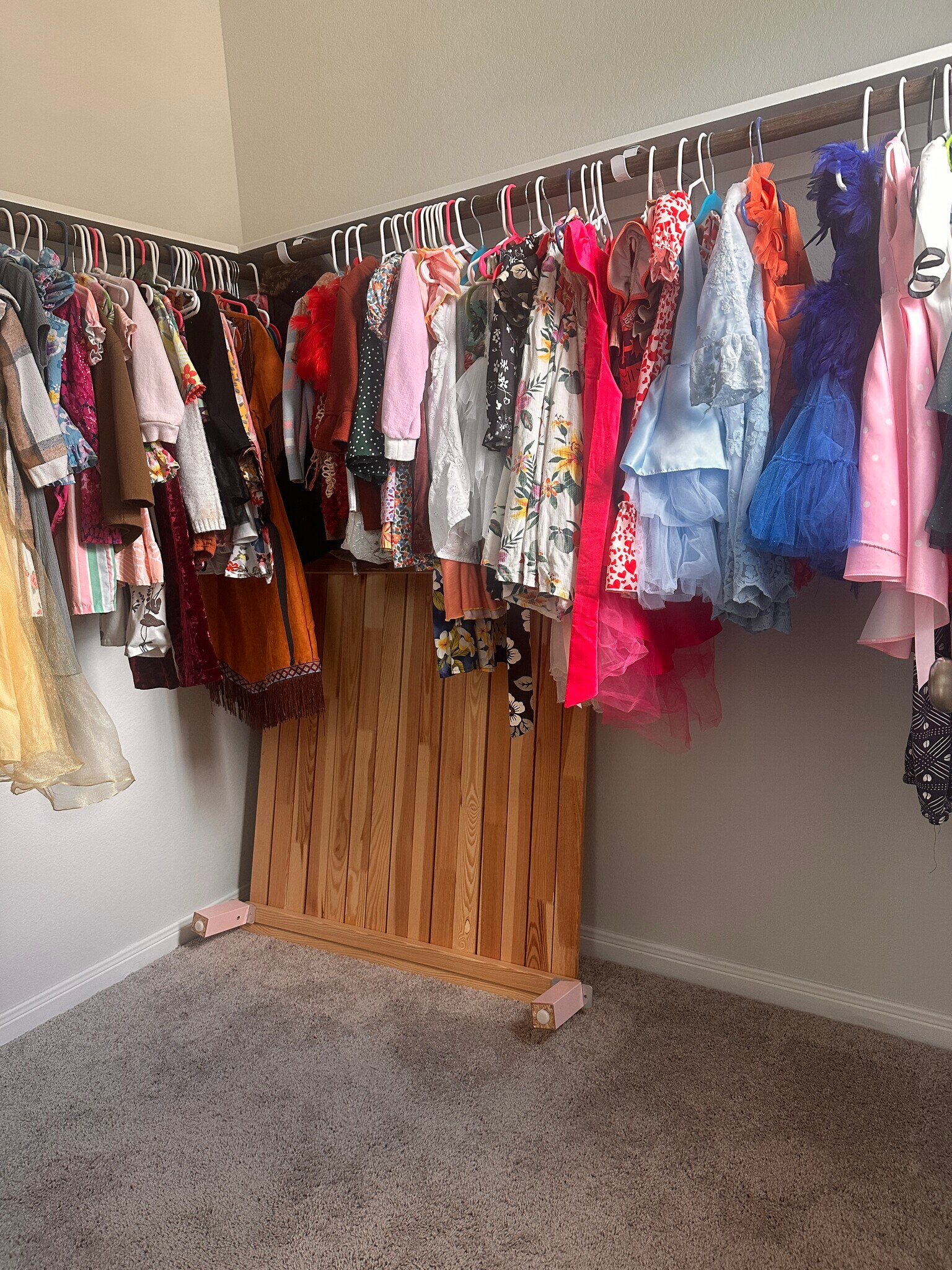 Bedroom 4 Closet space - 11040 Pelican Hill Ln