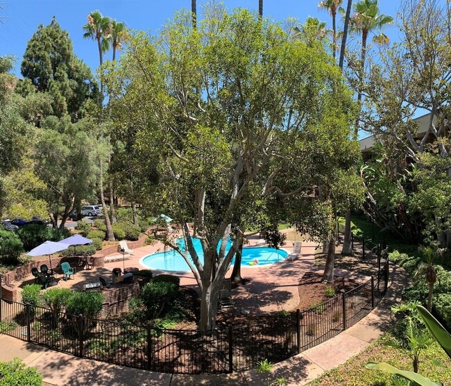 Building Photo - Condo in the Heart of Mission Valley!