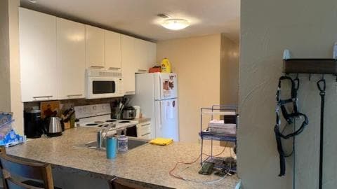 Building Photo - 1210 University Terrace