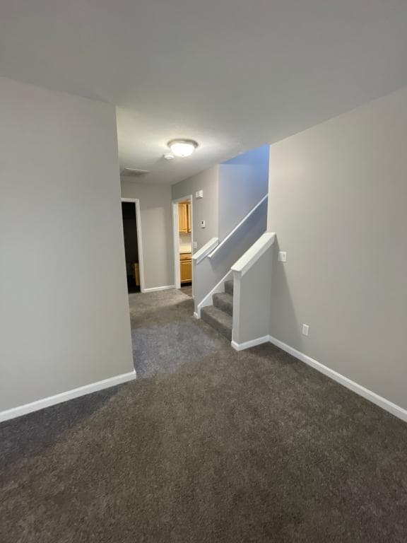 Building Photo - 3013 Northern Falcon Ridge Dr