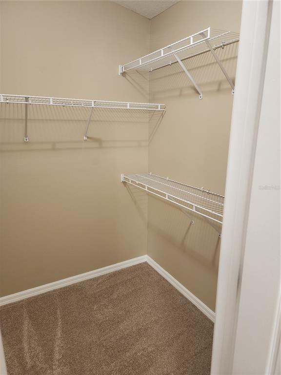 Building Photo - 15924 Fishhawk Creek Ln