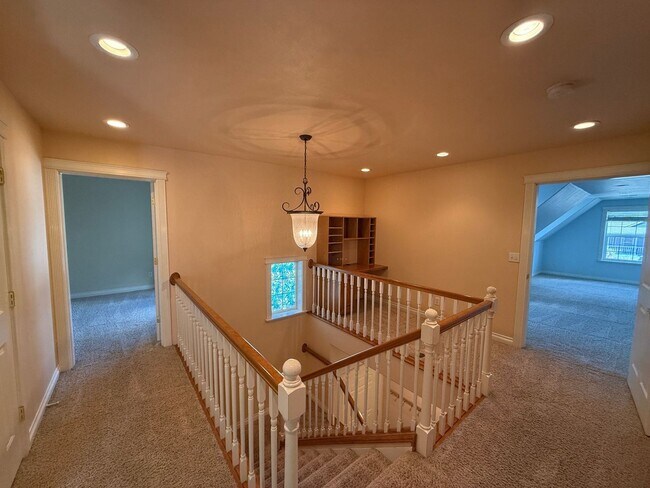 Building Photo - druc01