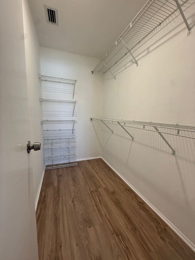 Building Photo - Newly Renovated Deltona Lakes Home!