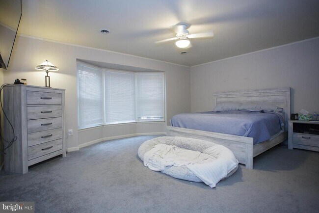 Building Photo - 8391 Miller Pl