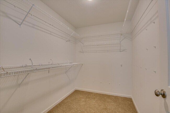 Building Photo - 1203 Belgrove Dr