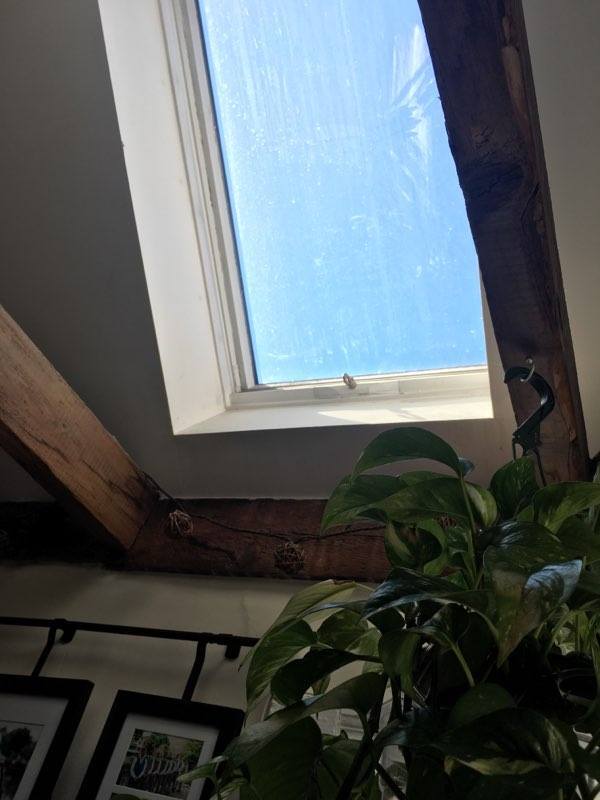 Building Photo - 48 Fourth St