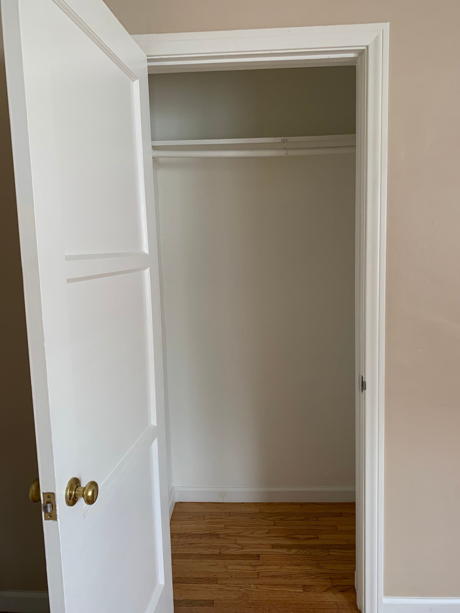Bedroom closet - 318 N Bushnell Ave
