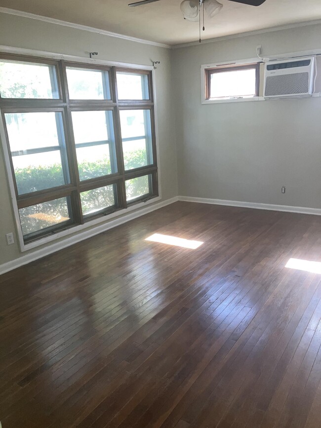 Building Photo - 113 Meek St