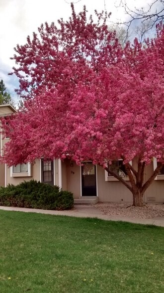 Quiet Townhouse in great neighborhood - 1440 Edora Rd