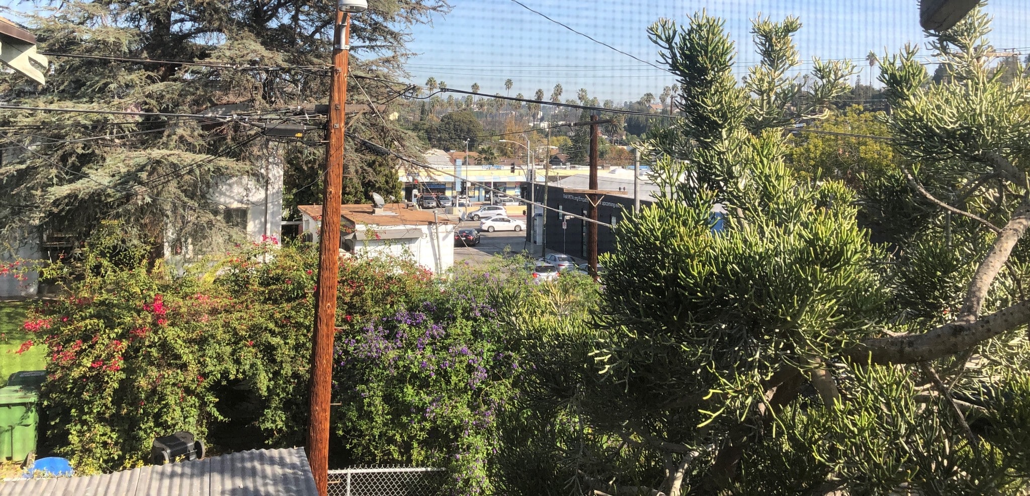 Building Photo - 937 N Benton Way