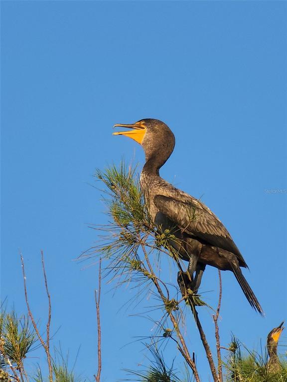 Building Photo - 6009 Sea Ranch Dr