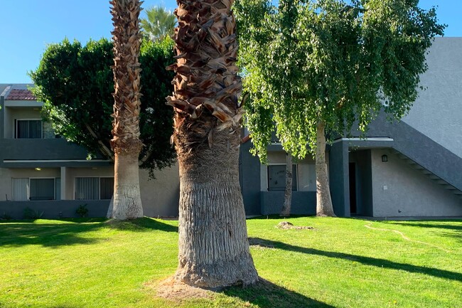 Building Photo - Palm Springs View Apartments