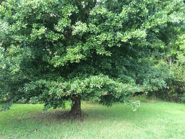 Building Photo - 9332 Monterey Bay Dr