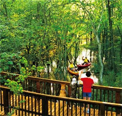 Building Photo - 6422 Addlestone Ridge Ln