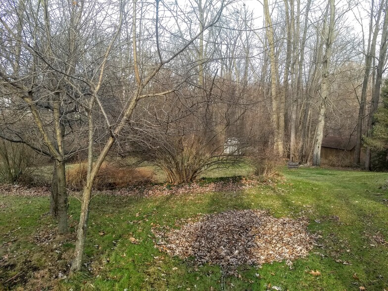 Backyard - 16351 Petro Dr