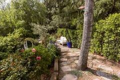 Building Photo - 526 Venado Vista Dr