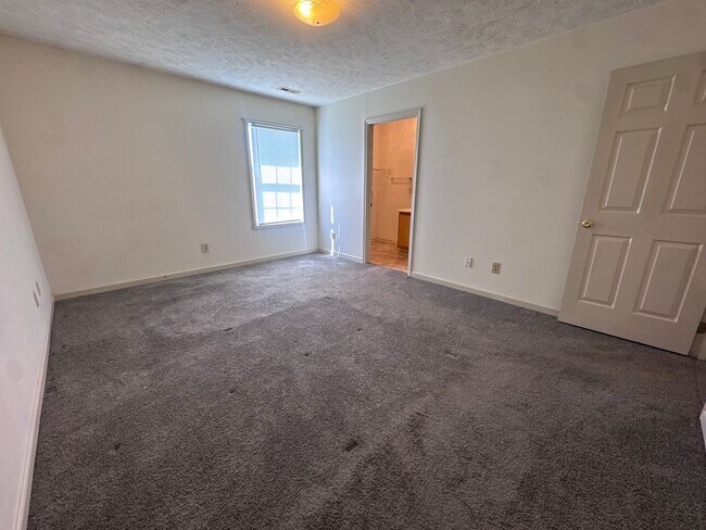 Building Photo - 143 Centipede Ln
