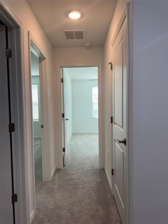 Building Photo - 3811 Sepia St