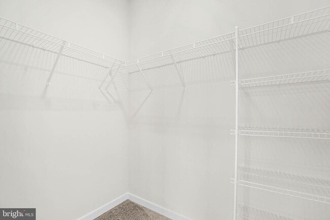 Building Photo - 6232 Folly Ln