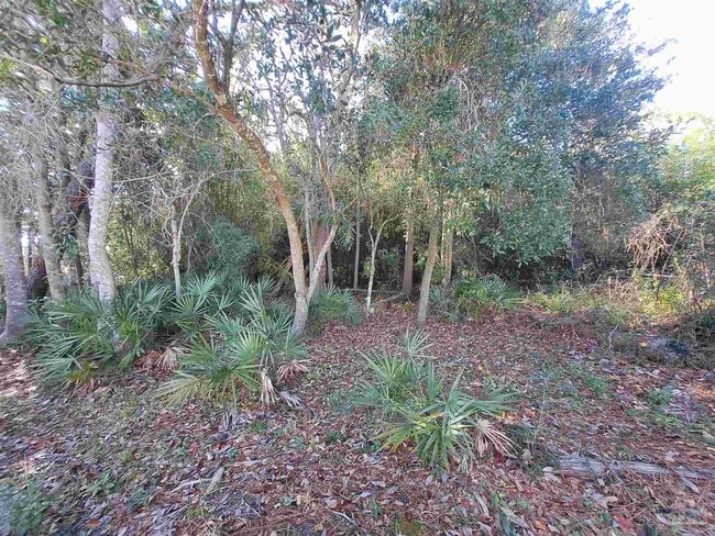 Building Photo - 2509 San Juan Grande