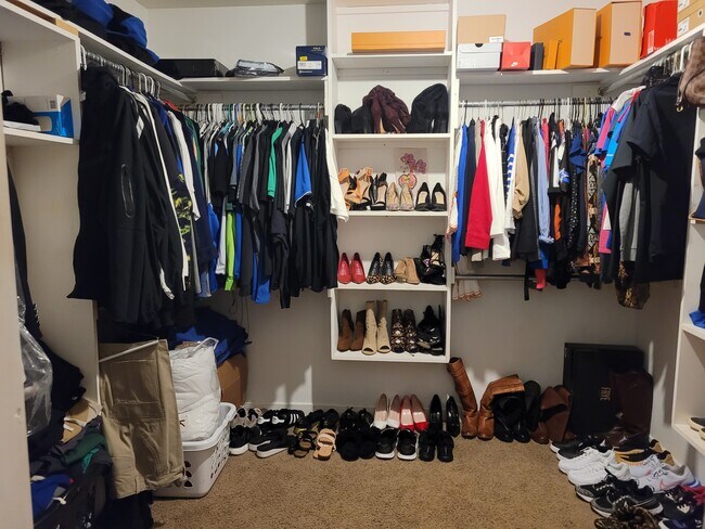 Building Photo - 4105 Bill Owens Pkwy