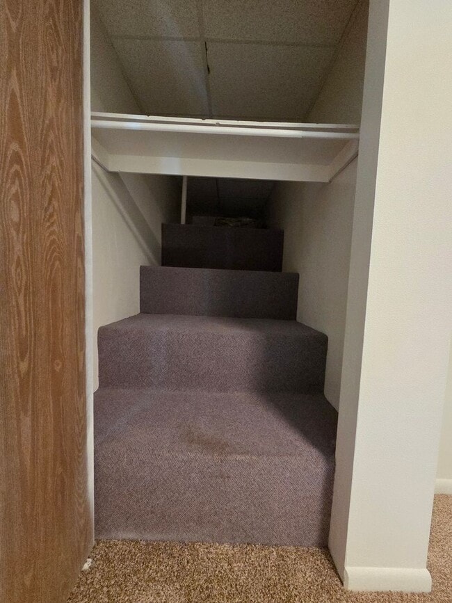 Building Photo - 2 Bed Apartment in the Heart of Golden!
