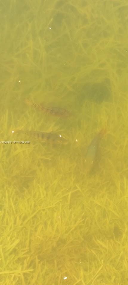 Building Photo - 4821 SW 129th Ave