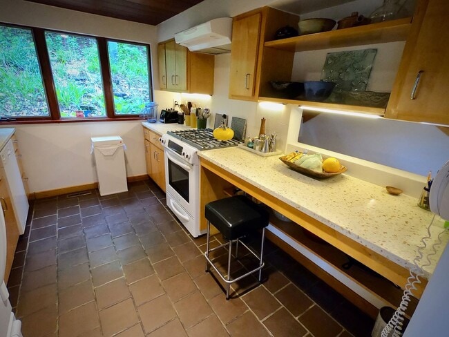 Building Photo - 8/1 Mid Century Modern Private House Bordering Frick Park. 1 of a kind.