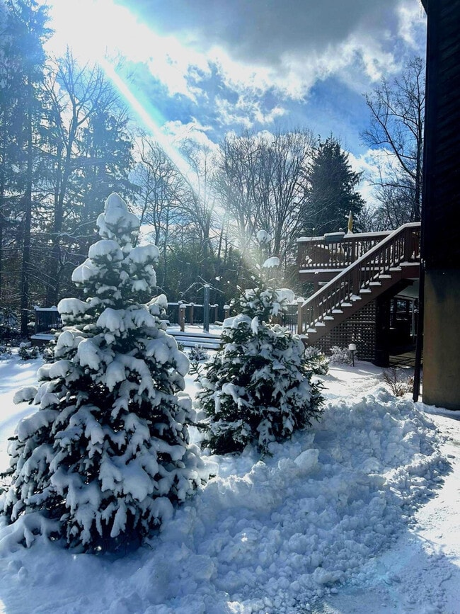 Building Photo - 2A Cherry Ln