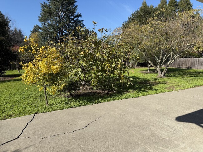 Building Photo - 19469 Victoria Ct