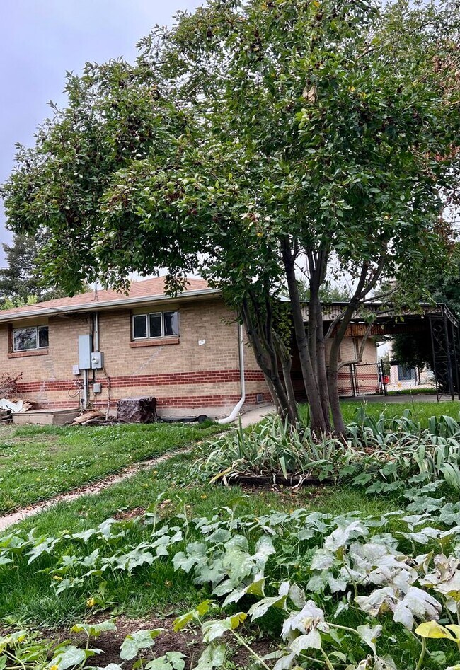 Building Photo - 3 Bedroom Home Walking distance to Sloan L...