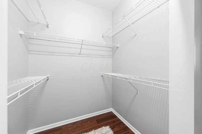 Building Photo - 6253 Craughwell Ln