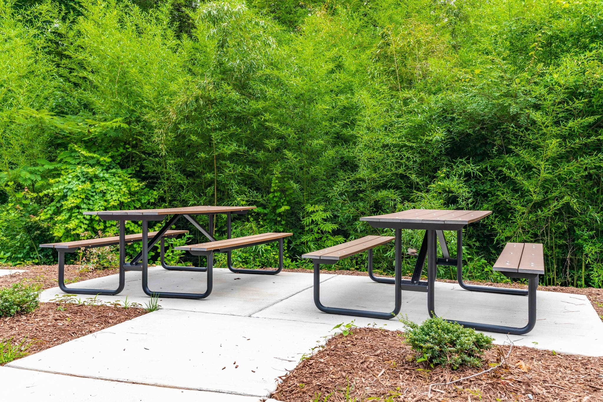 Building Photo - 303 Linwood St