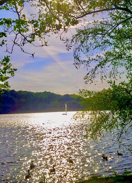 Jamaica Pond …a 15 min. stroll away - 19 Ackley Pl
