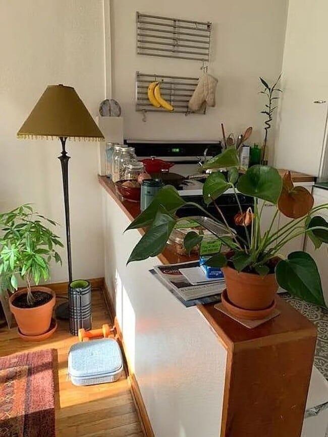 Building Photo - 1 Bedroom Apartment Available Now!