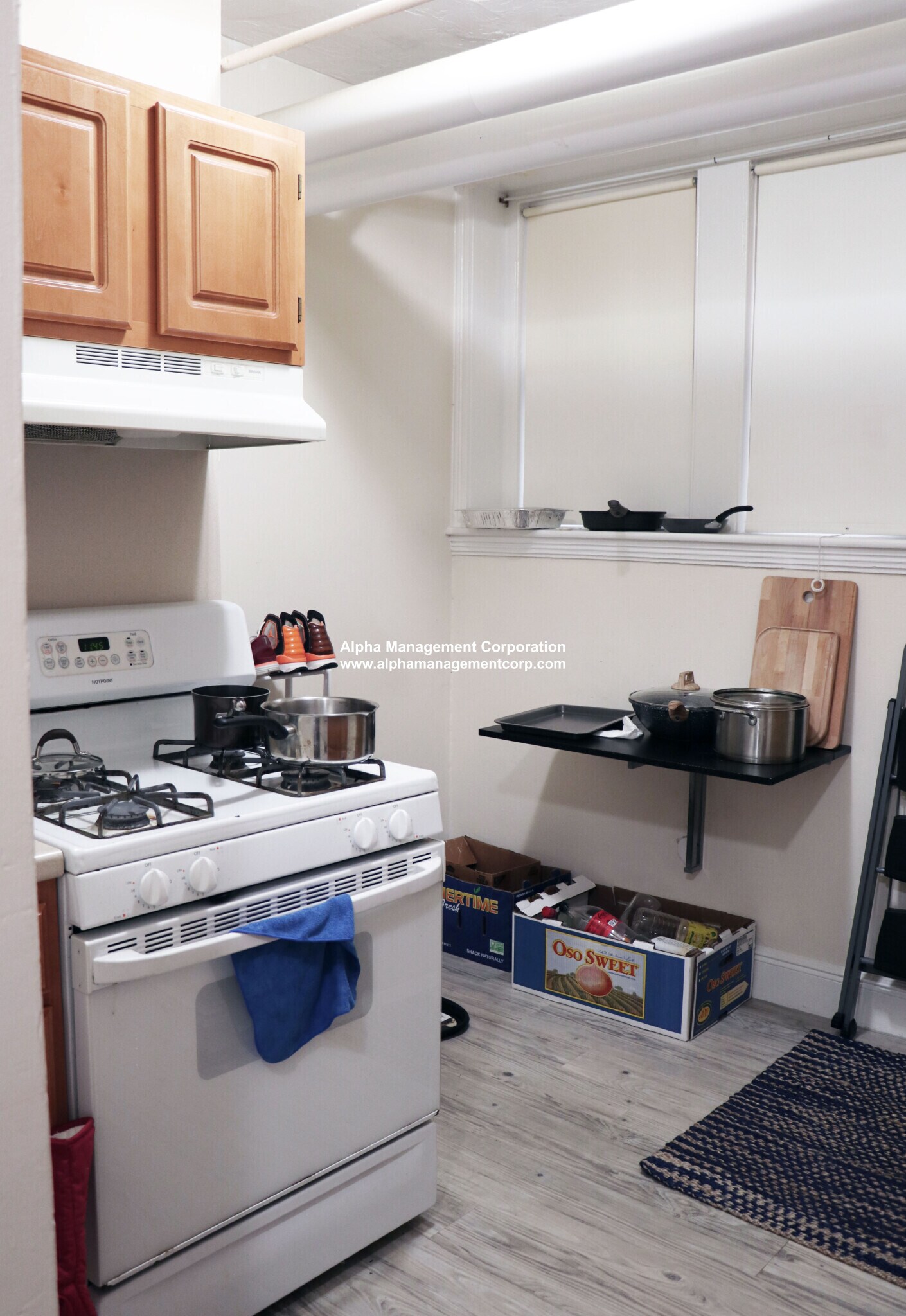 Building Photo - 20 Alton Pl