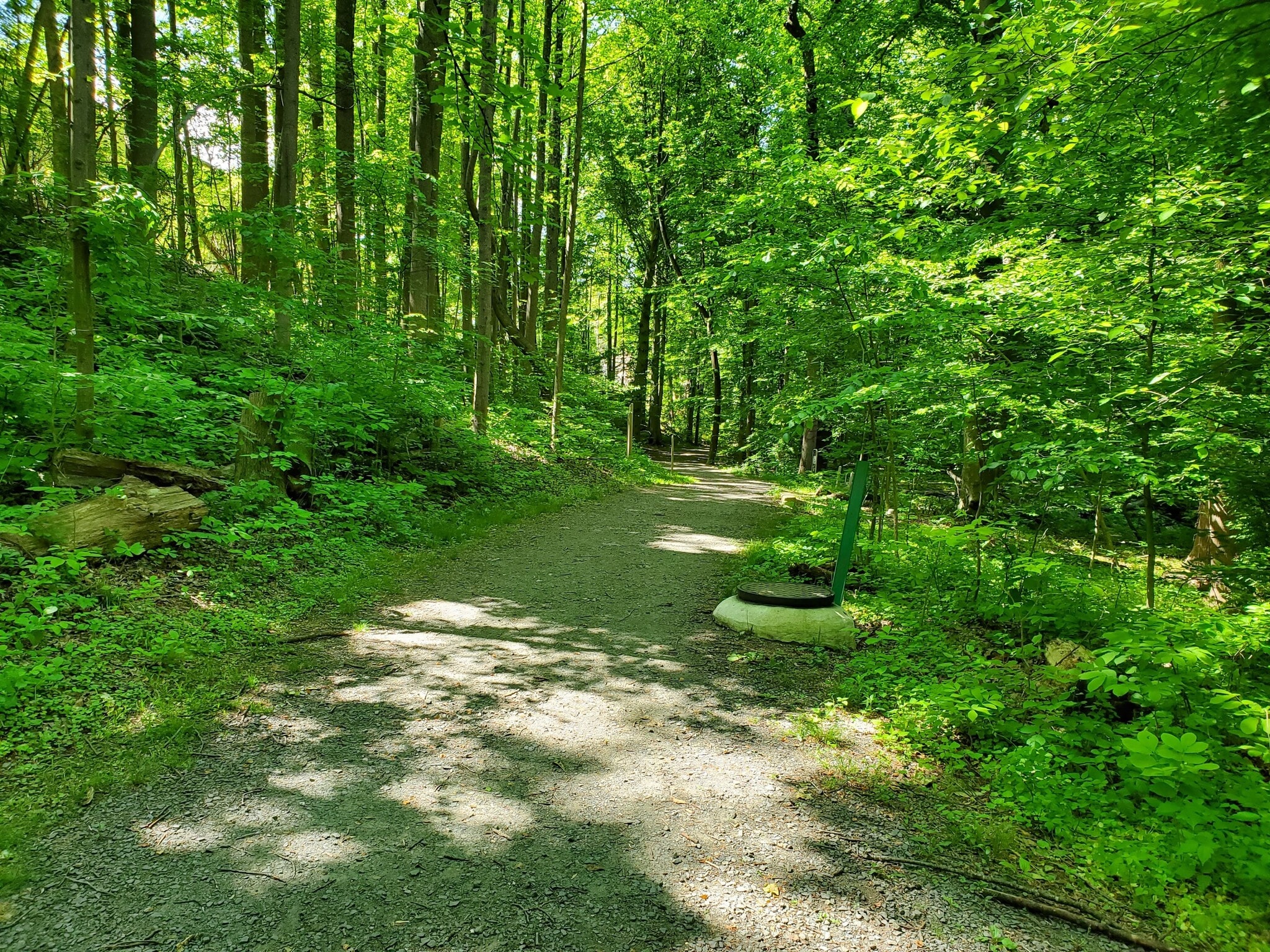 Building Photo - 3152 Bayswater Ct