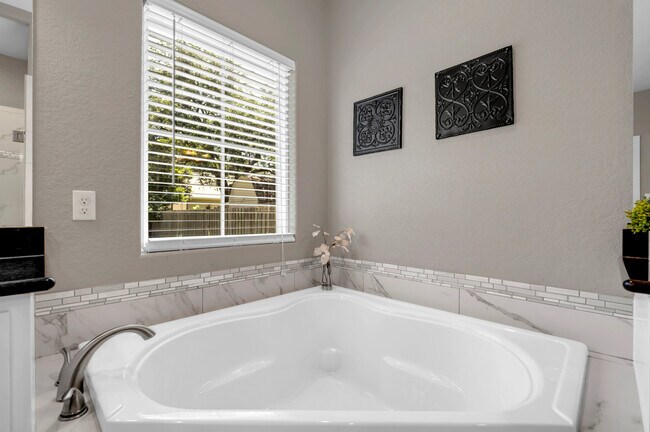 Building Photo - 113 Winding Oak Dr